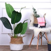 uploads/erp/collection/images/Home Garden/CongDing/XU0611914/img_b/XU0611914_img_b_2